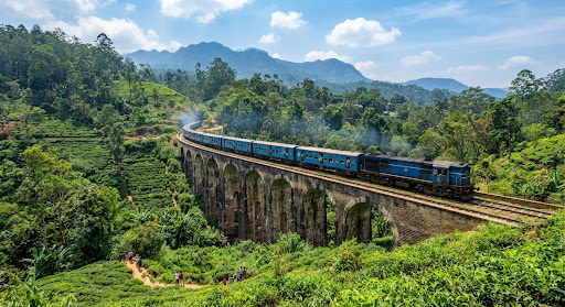 Der Löwenfelsen von Sigiriya erhebt sich unter blauem Himmel über den grünen Dschungel, gesehen vom Weg durch die antiken Wassergärten.
