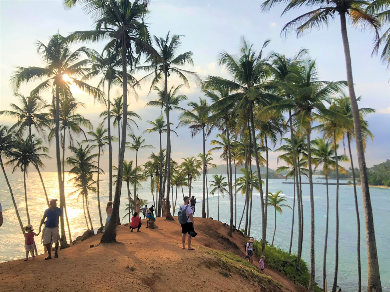 Golden sunset light streams through swaying coconut palms on a coastal headland above turquoise waters.