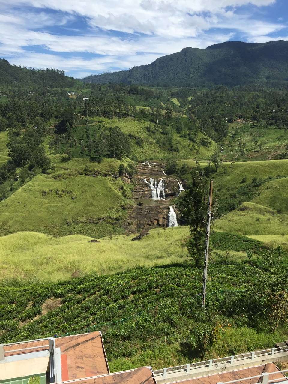 A sweeping view of a hillside waterfall framed by vivid green tea plantations and mountains.
